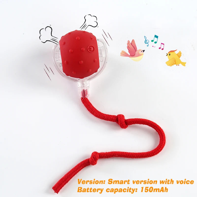 Smart Rolling Dog Ball – Rechargeable Interactive Self-Moving Toy